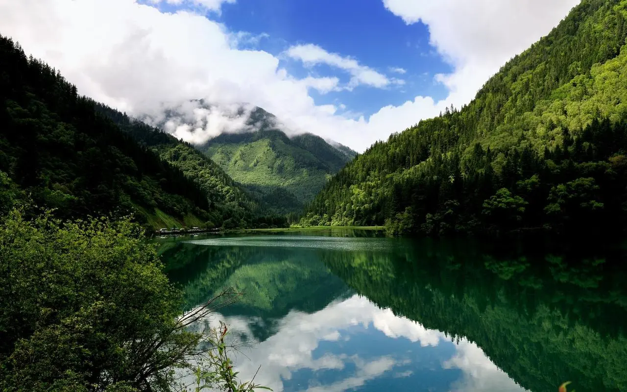 高效高端智能化